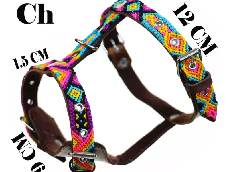 Pechera De Piel Con Bordado Artesanal Para Perro Chico