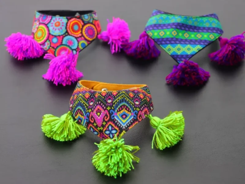 Palicate Para Perro Y Gato