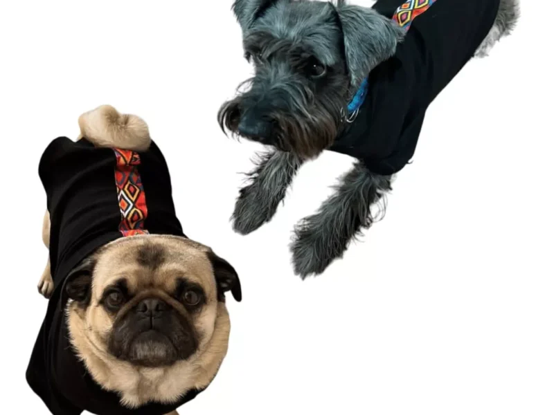 Guayabera Artesanal Para Mascotas