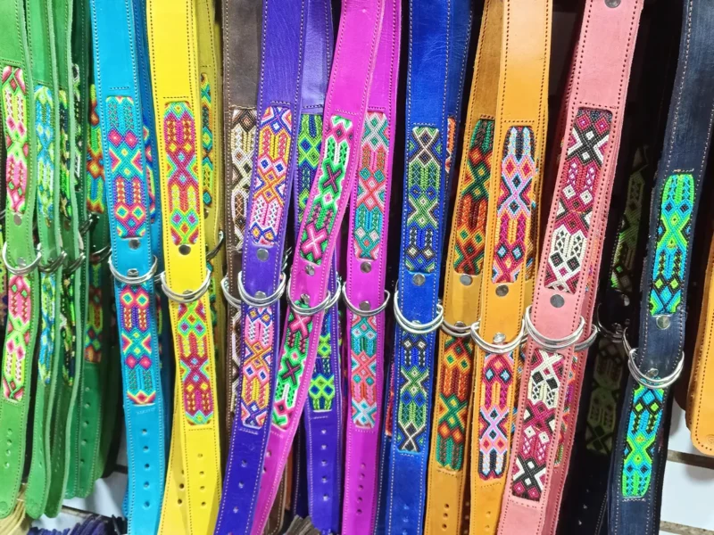 Pack De 6 Collares Para Perros Collares De Piel Bordados S-T Mayoreo