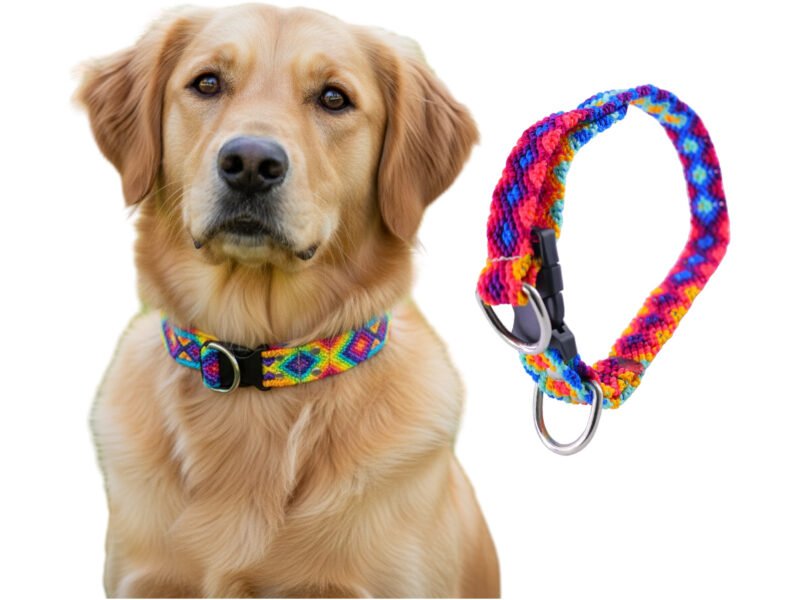 Collar Vegano Bordado Artesanal Para Perro M