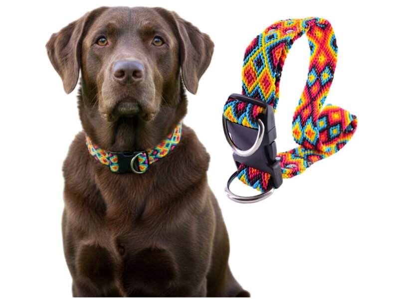 Collar Vegano Bordado Artesanal Para Perro G