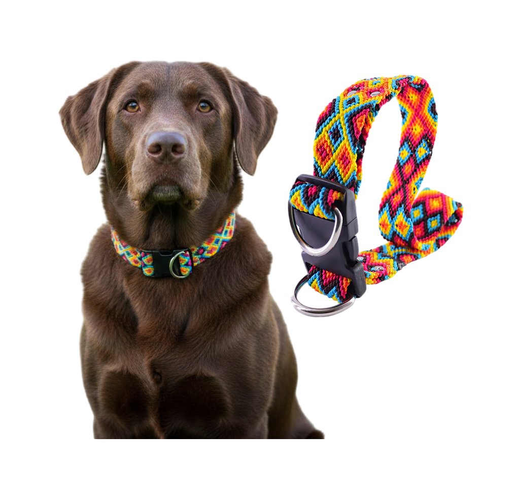 Collar Vegano Bordado Artesanal Para Perro G