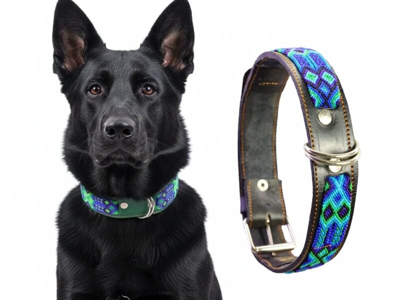 Collar De Piel Semi Bordado 60 CM Para Perro XG