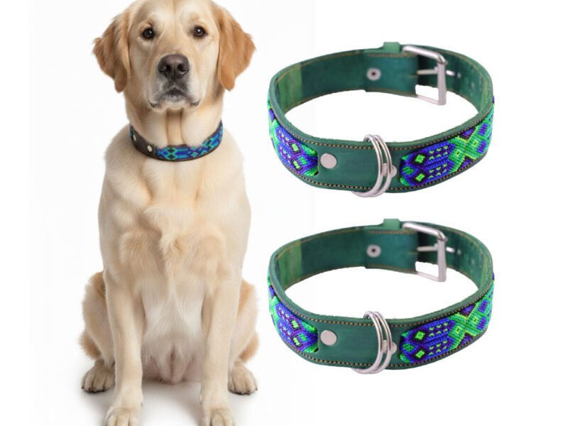 Collar De Piel Semi Bordado 75 CM Para Perro XG