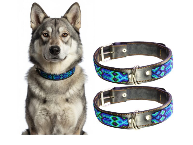 Collar De Piel Semi Bordado 55 CM Para Perro G
