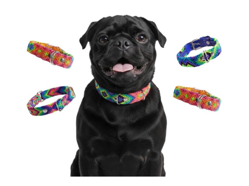 Collar De Piel Bordado H-G 45 CM Para Perro M