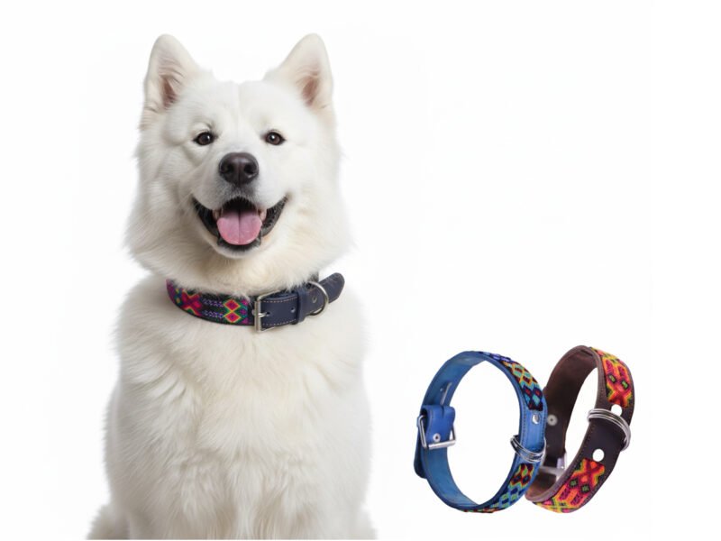 Collar De Piel Semi Bordado 70 CM Para Perro XG