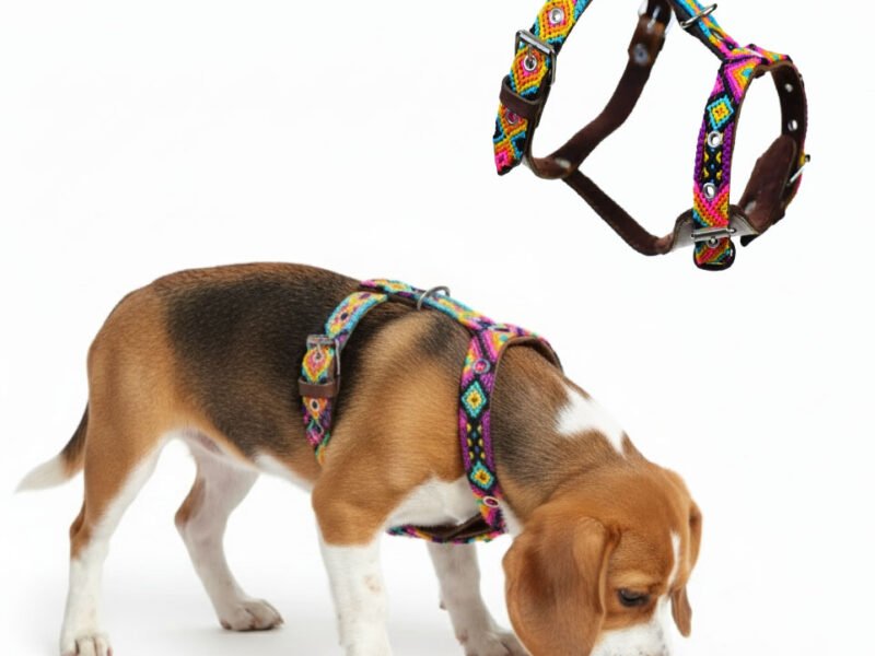 Pechera De Piel Con Bordado Artesanal Para Perro Chico