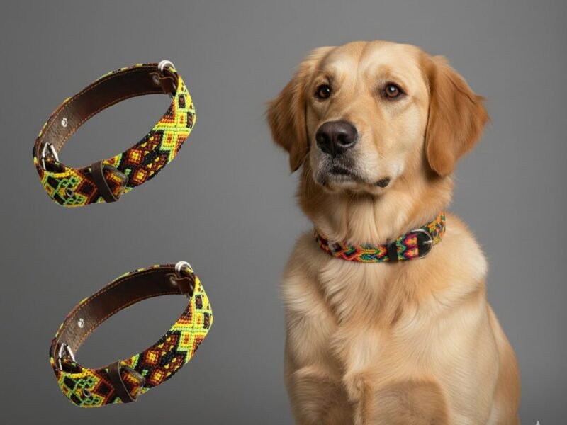 Collar De Piel Bordado T-F 60 CM Para Perro XG