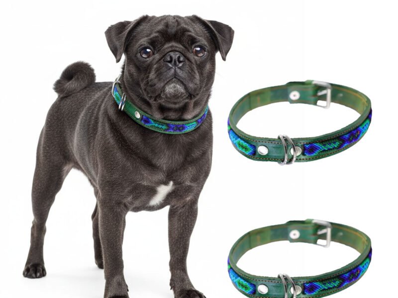 Collar De Piel Semi Bordado 45 CM Para Perro M