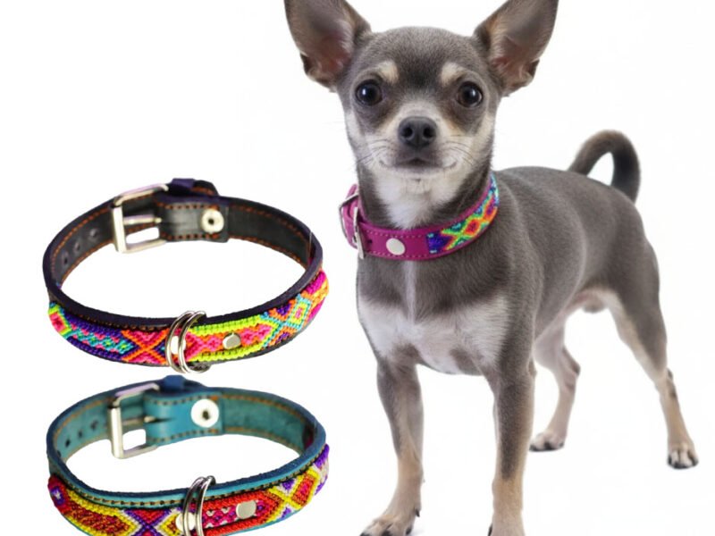 Collar De Piel Semi Bordado 20 CM Para Perros Y Gatos