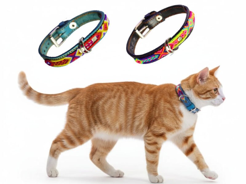 Collar De Piel Semi Bordado 20 CM Para Perros Y Gatos