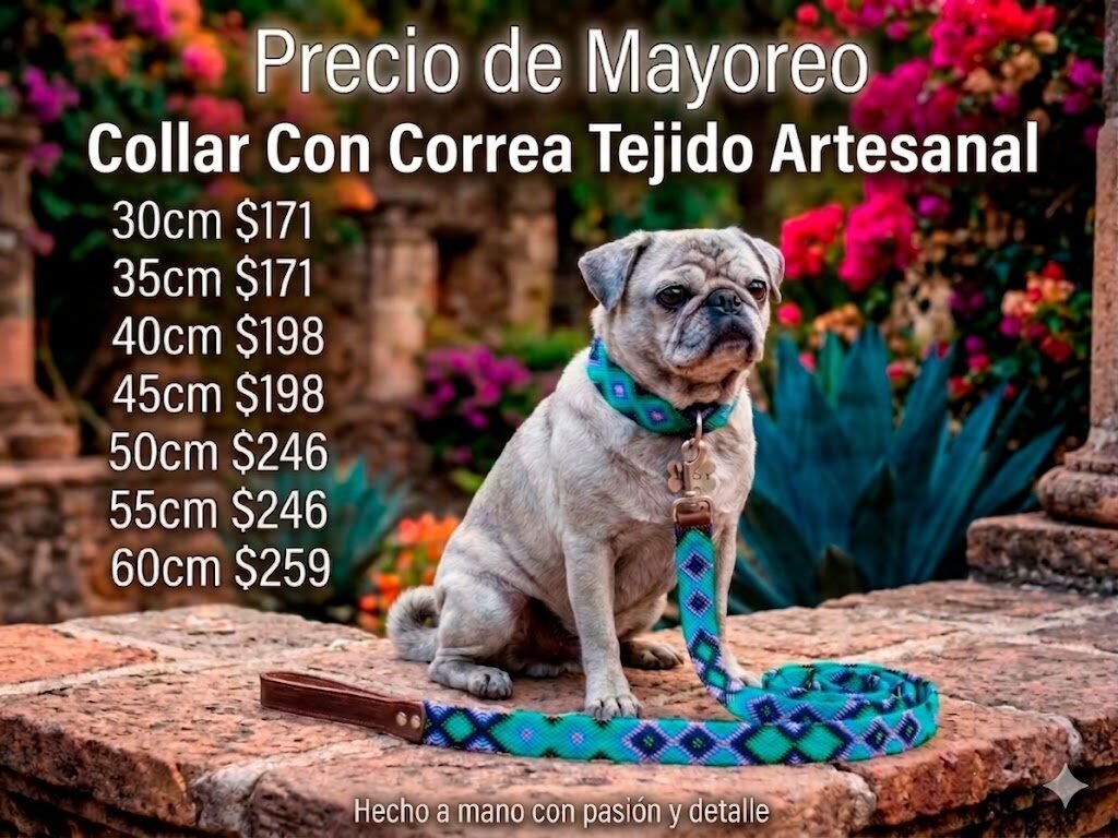 Collar con Correa