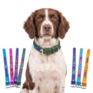 Collar Para Perro Mediano De Piel Con Tejido Artesanal 40cm