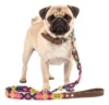 Kit Collar Y Correa Para Perro Artesanal Tejido 35cm