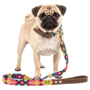 Kit Collar Y Correa Para Perro Artesanal Tejido 35cm