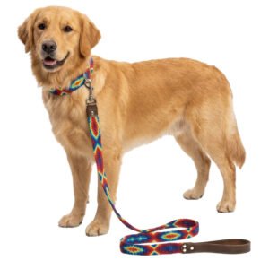 Set Collar Y Correa Artesanal Tejido Para Perro Mediano 40cm
