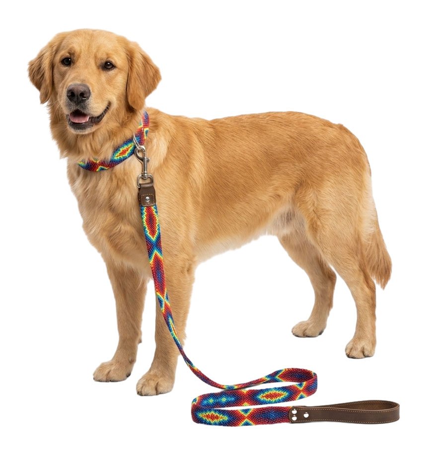 Set Collar Y Correa Artesanal Multicolor Para Perro Mediano 45cm - Image 5
