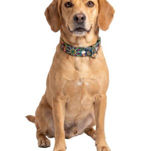Collar Para Perro Grande De Piel Y Yute Artesanal 50cm