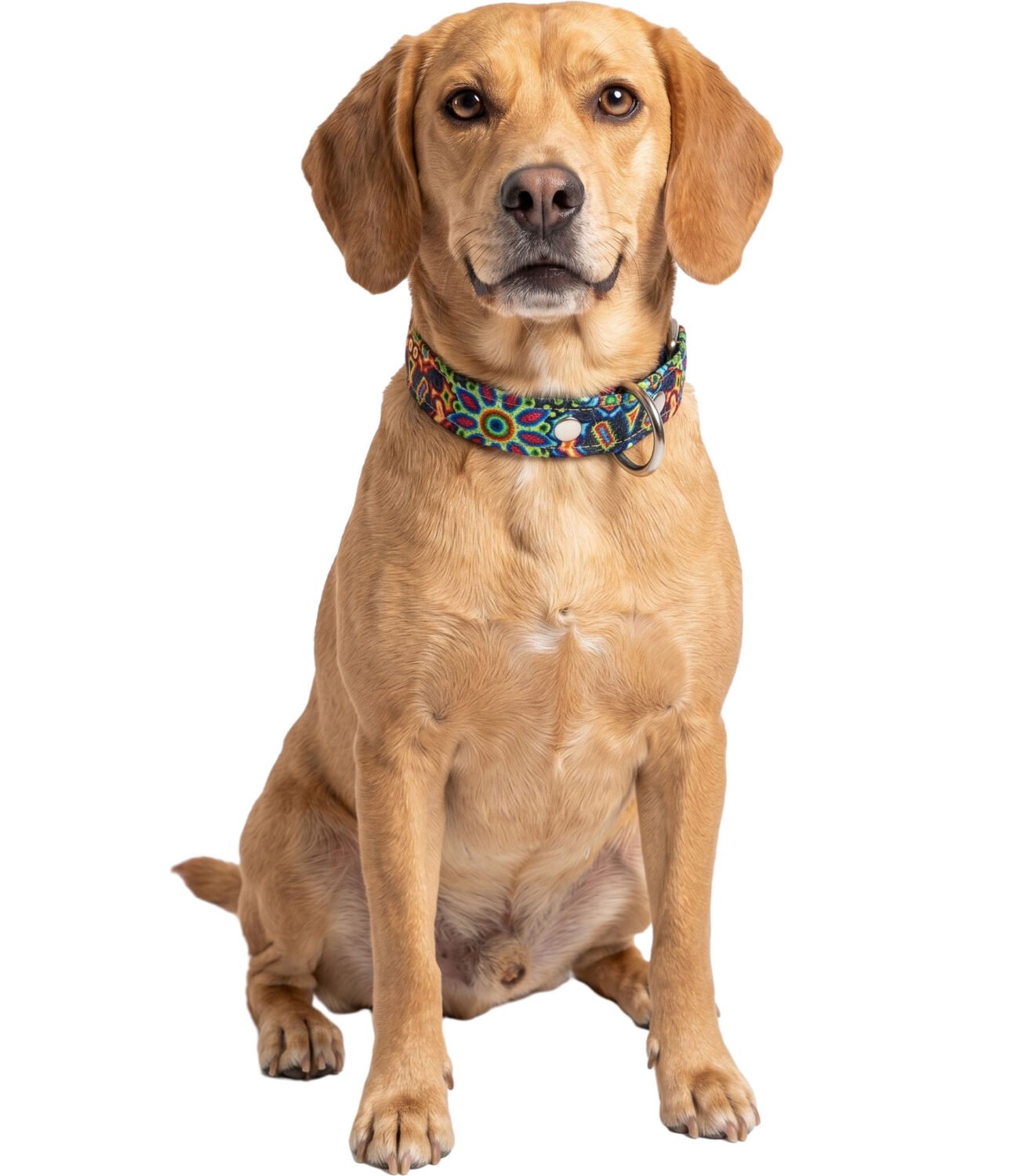 Collar Para Perro Grande De Piel Y Yute Artesanal 50cm - Image 2