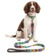 Set Collar Y Correa Artesanal Multicolor Para Perro Mediano 45cm