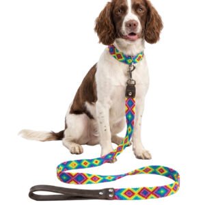 Set Collar Y Correa Artesanal Multicolor Para Perro Mediano 45cm