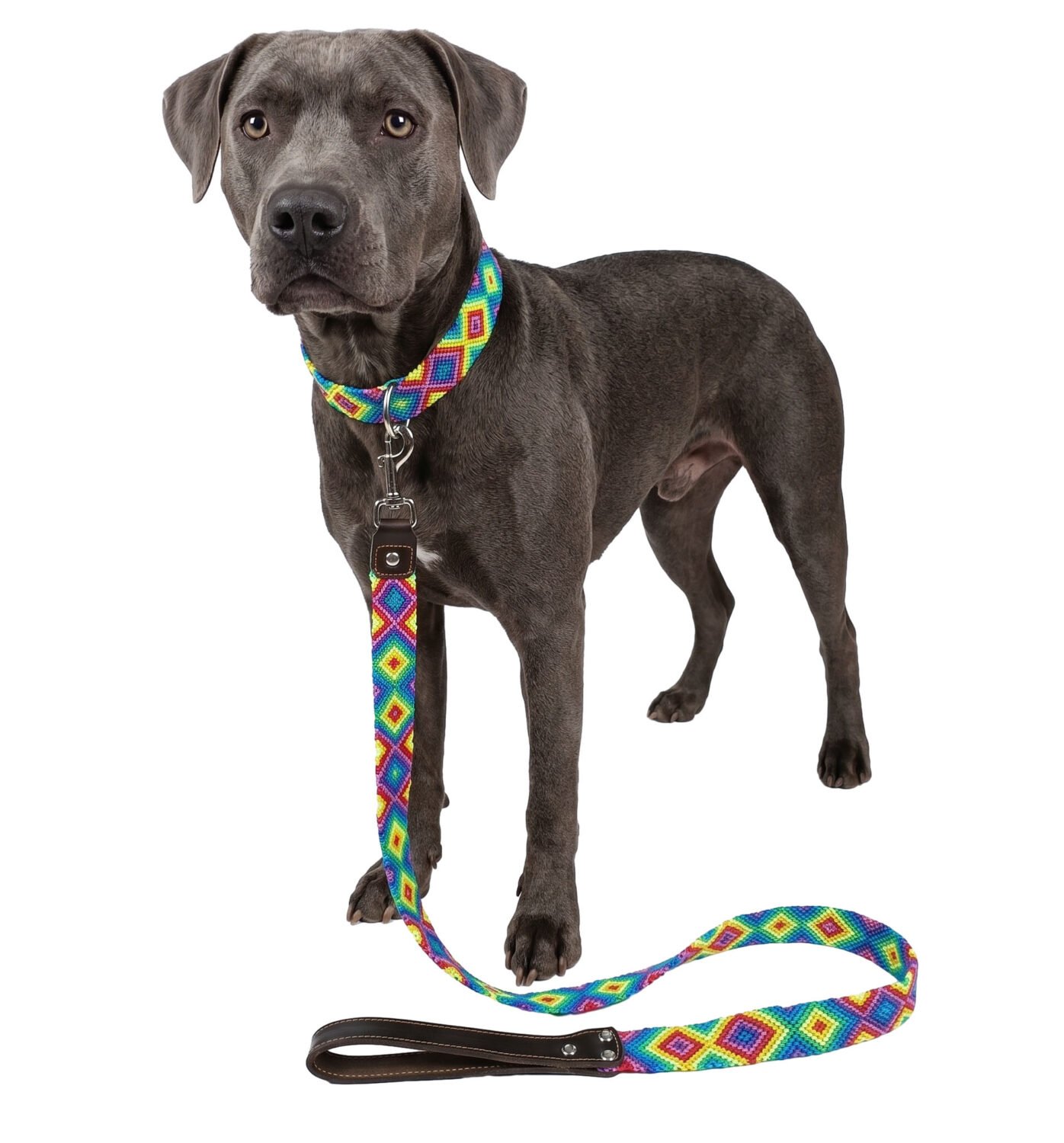 Set Collar Y Correa Artesanal Multicolor Para Perro Mediano 45cm - Image 7
