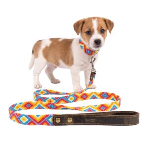 Set Collar Y Correa Para Perro Chico Artesanal Tejido 30cm