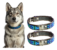 Accesorios para Mascotas