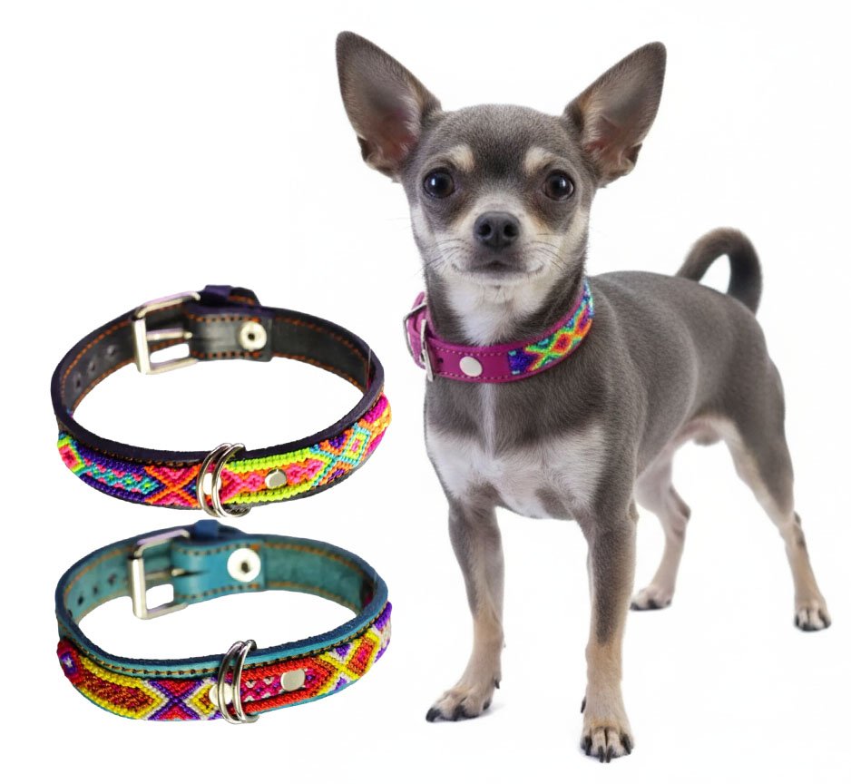 Collar De Piel Semi Bordado 35 CM Para Perros Y Gatos